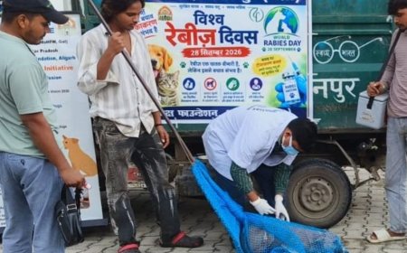 सहारनपुर में 35 हजार आवारा कुत्तों का एंटी रेबीज टीकाकरण:52 वार्डों में टीकाकरण, 300 दिन में सभी 70 वार्ड कवर करने का लक्ष्य
