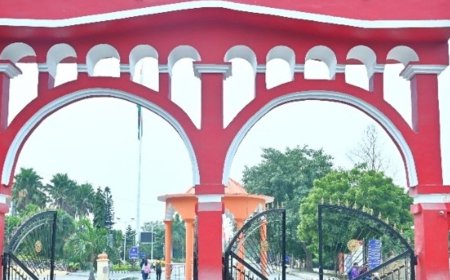 पूर्वांचल विश्वविद्यालय में रोजगारपरक कोर्स शुरू करने की तैयारी:कुलपति ने 30 तक मांगे प्रस्ताव, छात्रों की मांग और रोजगार पर जोर