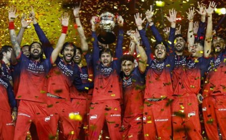 IPL 2027 का ऑक्शन गोवा में होगा:BCCI सेक्रेटरी बोले- दिसंबर में लगेगी बोली; 3 साल बाद भारत लौटेगी नीलामी