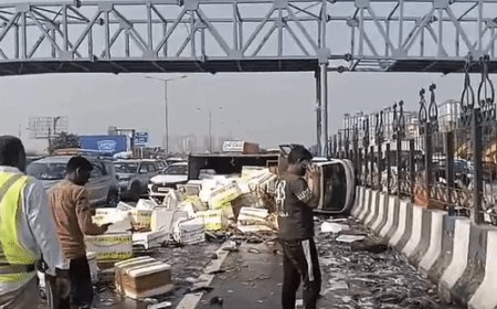 गाजियाबाद में एक्सप्रेस वे पर मछलियों से भरी डीसीएम पलटी:सड़क पर तड़पती रहीं मछलियां, मछलियां उठाने चले लोगों को ट्रैफिक पुलिस ने रोका