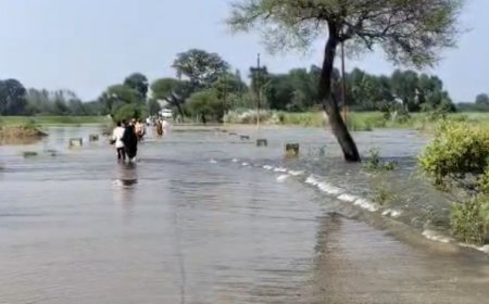 गौरा चौराहा जलमग्न-दंतरंगवा डीप पर दो फीट से ज्यादा पानी:बलरामपुर में बारिश से जनजीवन प्रभावित, पुलिस थाने में भी भरा पानी, विधायक ने किया दौरा