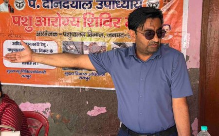 रामपुर में पशुओं को लगे टीके, हुई टैगिंग:पशुपालकों को बीमारी से बचाव और सरकारी योजनाओं की जानकारी मिली