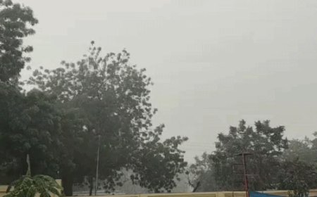 तस्वीरों में देखिए मेरठ में बारिश का असर:बाजारों में पसरा सन्नाटा, स्कूल भी रहे बंद