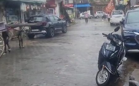 उन्नाव में बारिश से गर्मी में मिली राहत:धान की फसल को फायदा, कई इलाकों में रुक-रुककर बारिश