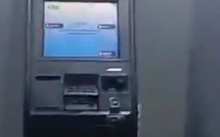 SBI ATM में घुसी गाय और कुत्ता; VIDEO:बारिश से बचने के लिए अंदर बैठे दिखे, लोग देखकर बाहर से लौटे