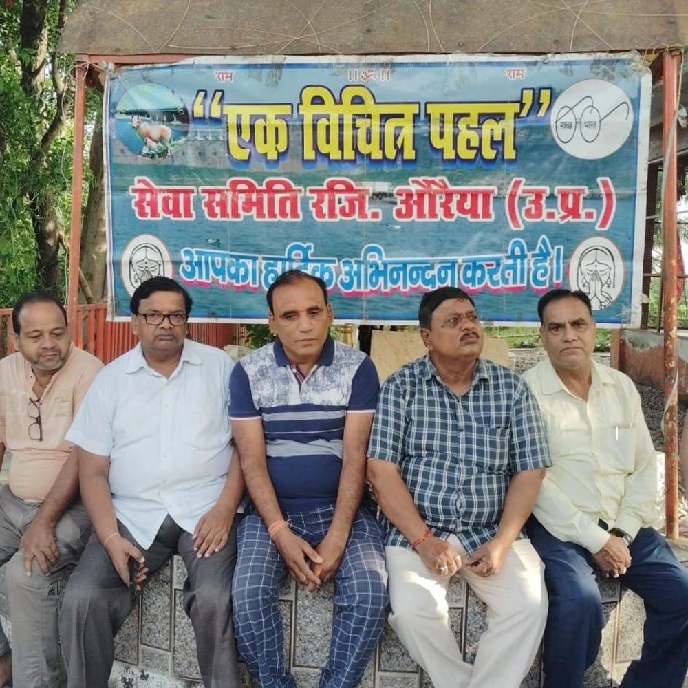 संगठन ने नष्ट पौधों की जगह फिर लगाए नए पौधे:पर्यावरण संरक्षण का लिया संकल्प, सार्वजनिक स्थानों को हरा-भरा रखने का उद्देश्य