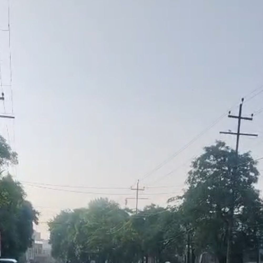 मुरादाबाद में टेम्प्रेचर 31°C:तेज धूप निकली,