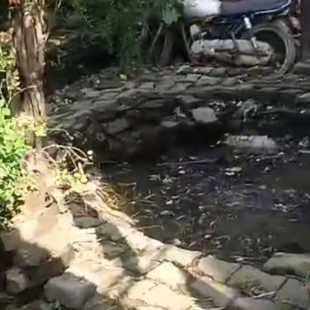 सकरापार में रास्ते के विवाद की जांच शुरू:वीडियो सामने आने के 10 दिन बाद राजस्व टीम और पुलिस ने की स्थलीय जांच