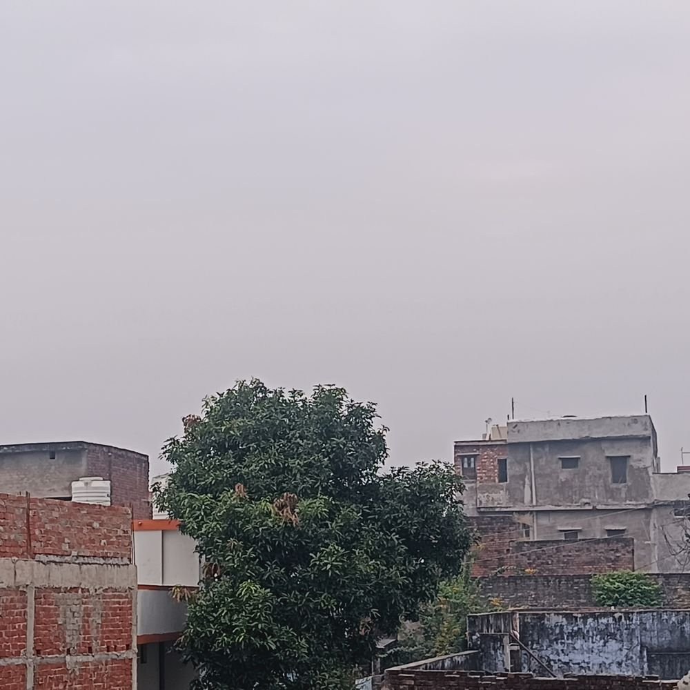 बस्ती में गरज-चमक के साथ बारिश के आसार:40 किमी की रफ्तार से चल सकती है हवा, लोगों को सतर्क रहने की सलाह