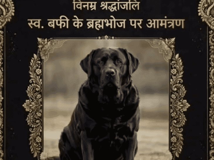 गोरखपुर में लेब्राडोर डॉग की मौत पर खूब रोया परिवार:2 अक्टूबर को मौत हुई, ब्रह्मभोज का कार्ड छपवाया, 13वें दिन की तेरहवीं