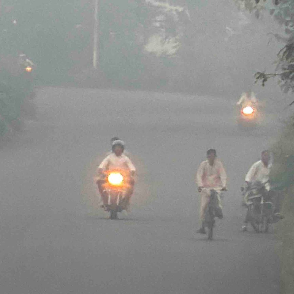 रामपुर में सुबह साढ़े पांच बजे घना कोहरा और ठंड:धूप निकलने पर कोहरा छंटा, दिन में तापमान में गर्माहट महसूस हुई