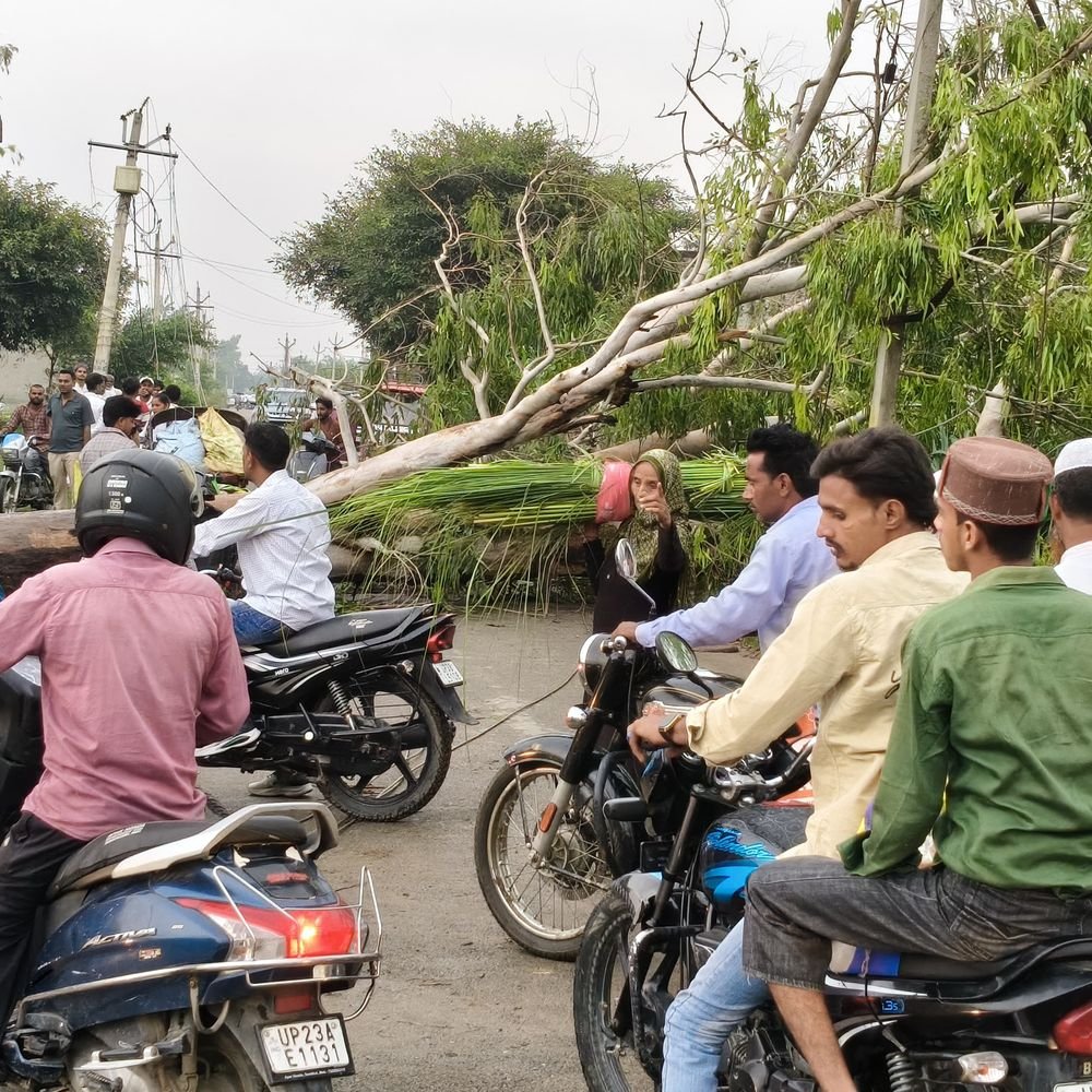 संभल में आंधी-बारिश और ओलावृष्टि से बढ़ी ठंड:धान की फसल बर्बाद, आज भी बारिश का अलर्ट
