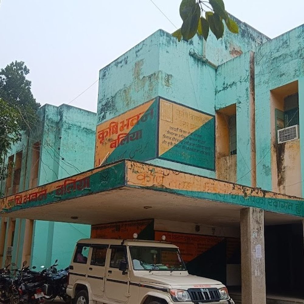 बलिया में कल मिलेट्स महोत्सव, व्यंजनों की प्रतियोगिता:होटल, रेस्टोरेंट, एफपीओ, स्वयं सहायता समूह और शेफ लेंगे हिस्सा