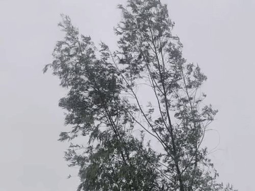 मऊ में बेमौसम बारिश से फसलों को नुकसान:बारिश से पारा 22 डिग्री पर पहुंचा, खेतों में भरा पानी