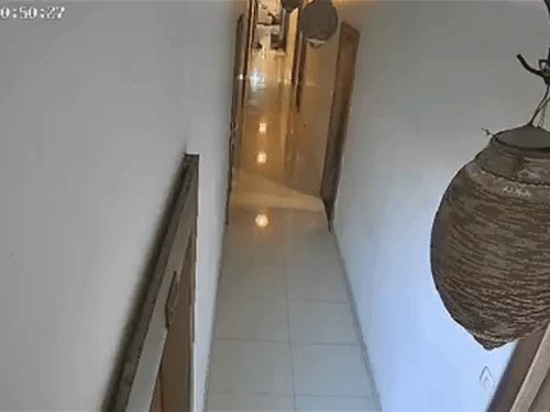 होटल में बैंक मैनेजर की पत्नी की मौत का CCTV:झांसी में चेकआउट के समय रूम में खड़े-खड़े गिरी, 4 महीने पहले शादी हुई थी