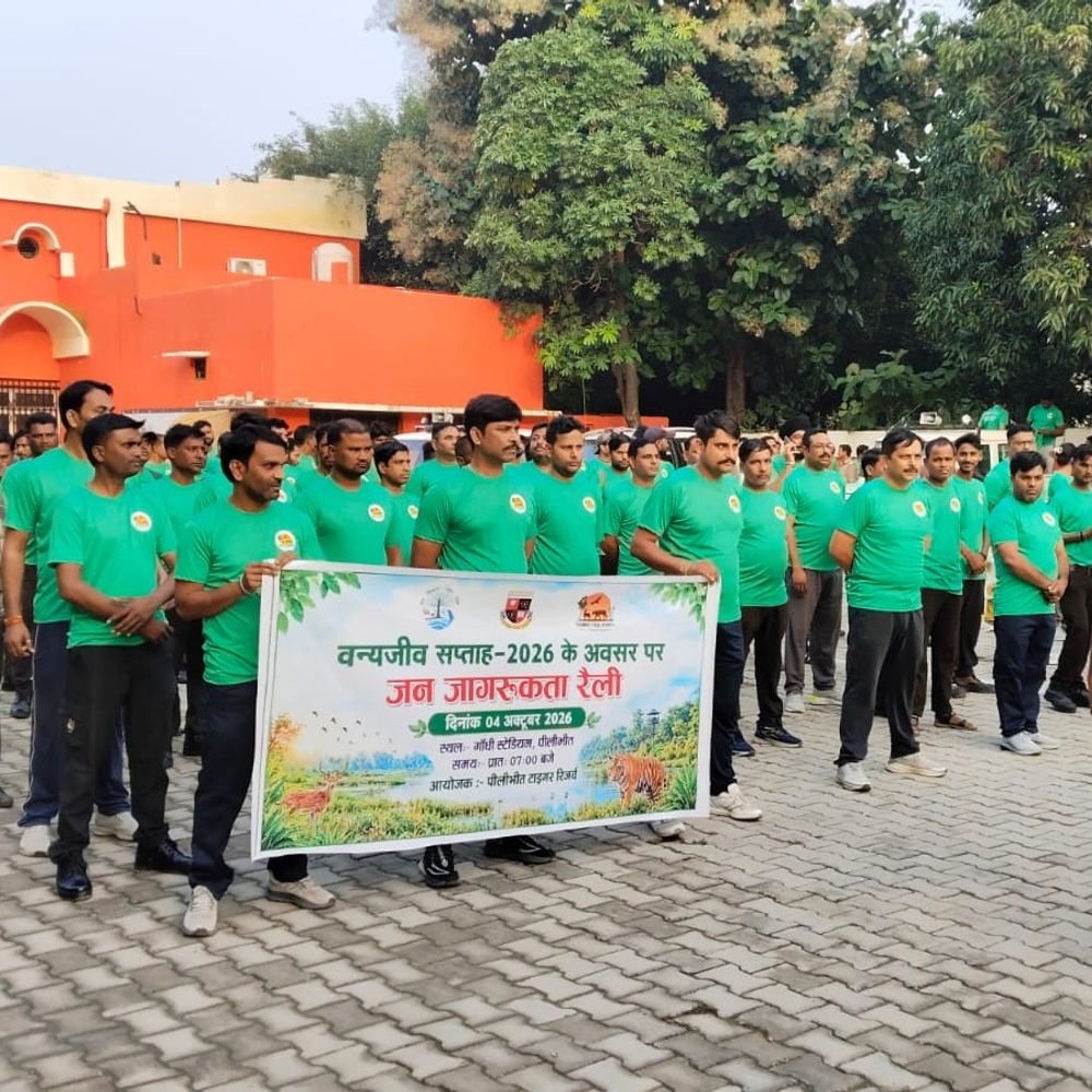 पीलीभीत में वन्यजीव जागरूकता मैराथन:एसपी ने हरी झंडी दिखाकर किया रवाना, 250 से ज्यादा लोगों ने लिया हिस्सा
