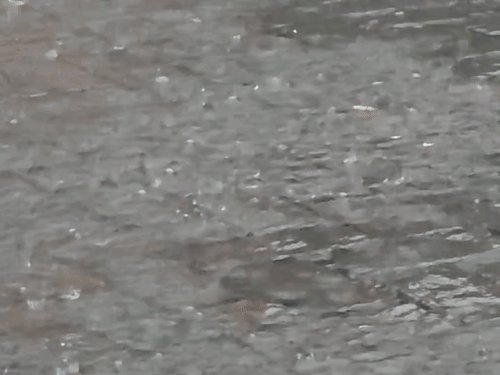 मुजफ्फरनगर में दिन निकलते ही मूसलाधार बारिश:दिन में छाया अंधेरा, जनजीवन पूरी तरह से प्रभावित