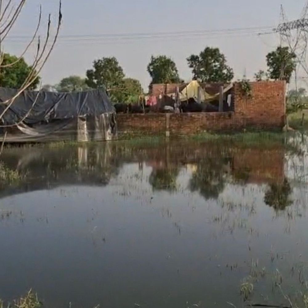 गंगा का पानी भरने से 400 आबादी परेशान:4 बार बाढ़ आने का दावा, फसलें खराब; ग्रामीण बोले- 2 महीने से बिजली भी बंद