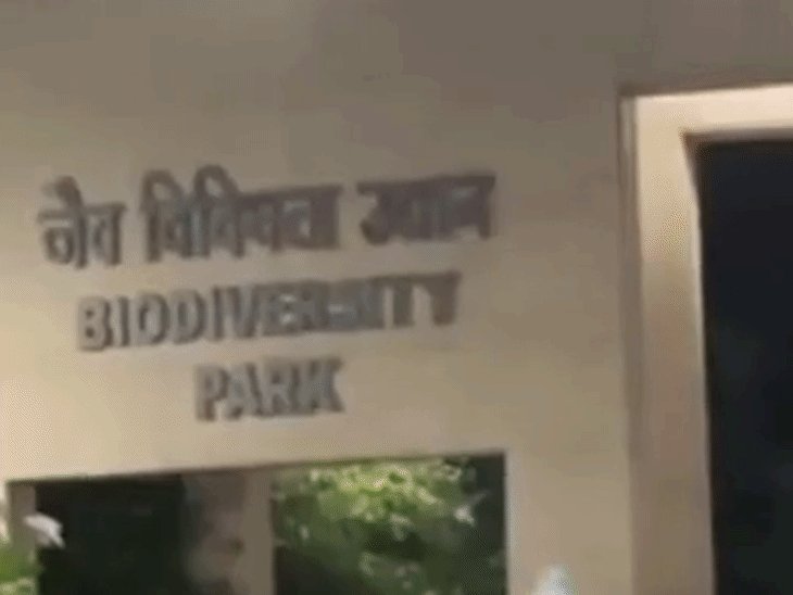 नोएडा डियर पार्क के 12 बाड़ों में लगेंगे 3490 पेड़:नर्सरी में 18 से 20 फीट के किए जाएंगे, इसके बाद डियर पार्क में करेंगे ट्रांसप्लांट