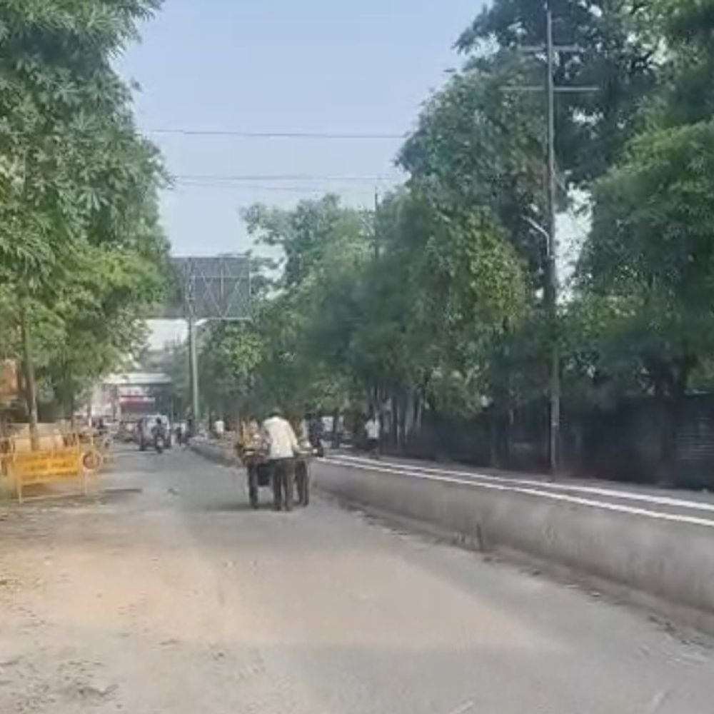 मुरादाबाद में टेम्प्रेचर 33°C:तेज धूप निकली, रुक-रुककर हवा बह रही, बारिश नहीं होगी