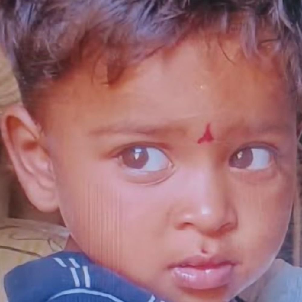 जहरीले कीड़े के काटने से बच्ची की मौत:उन्नाव में घर पर सो रही थी 3 साल की बच्ची, हालत बिगड़ने पर घर वालों को पता चला