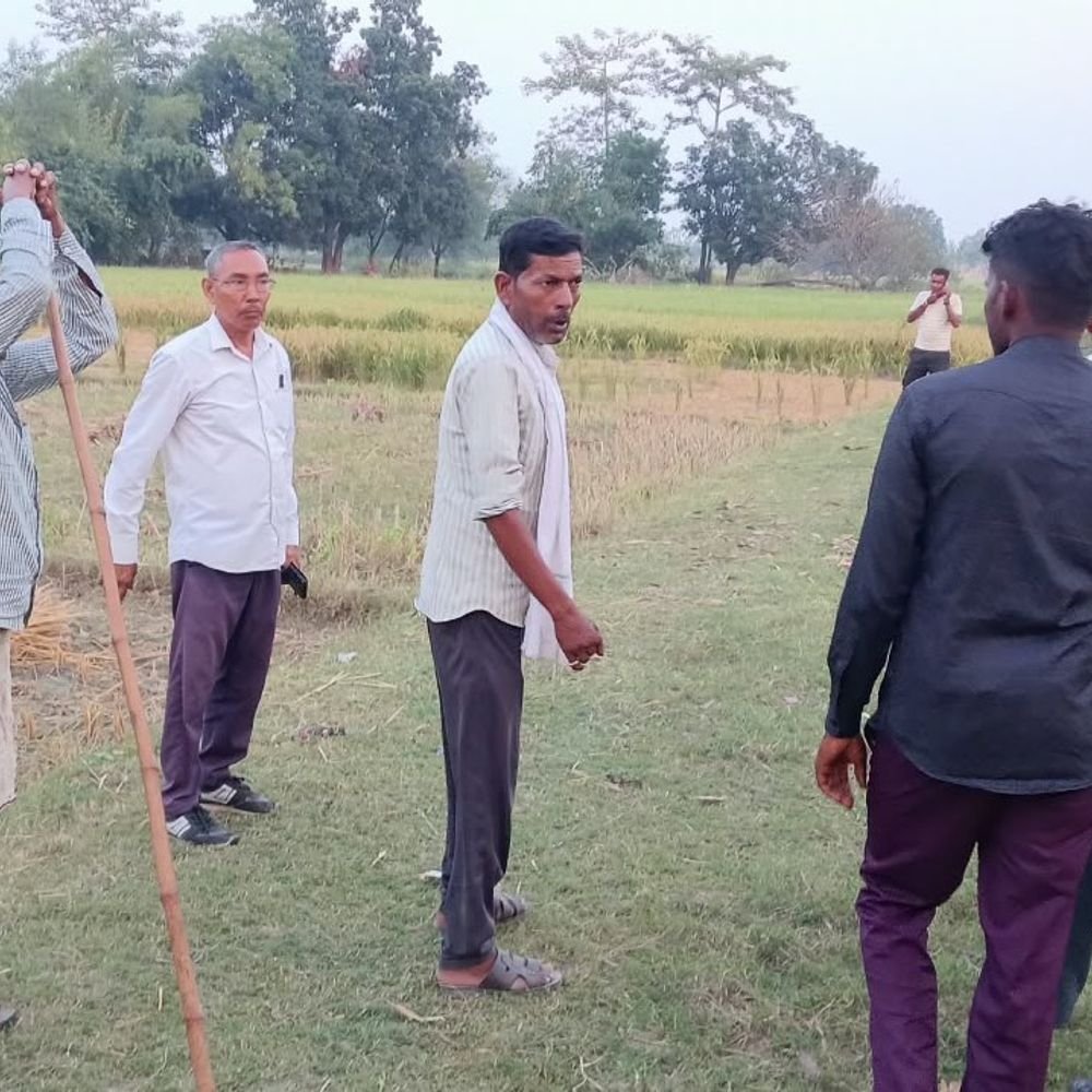 खेत की रखवाली कर रहे किसान पर सियार का हमला:सिर में आई चोट, शोर मचाने पर धान के खेत में भागा जानवर