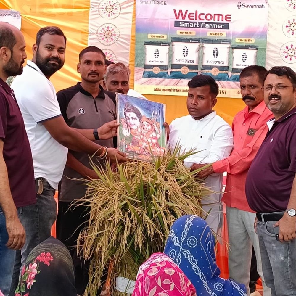 सहजनवा में मनाया धान फसल कटाई दिवस:सवाना सीड्स के कार्यक्रम में किसानों को सवा 7501 की उपज की जानकारी दी