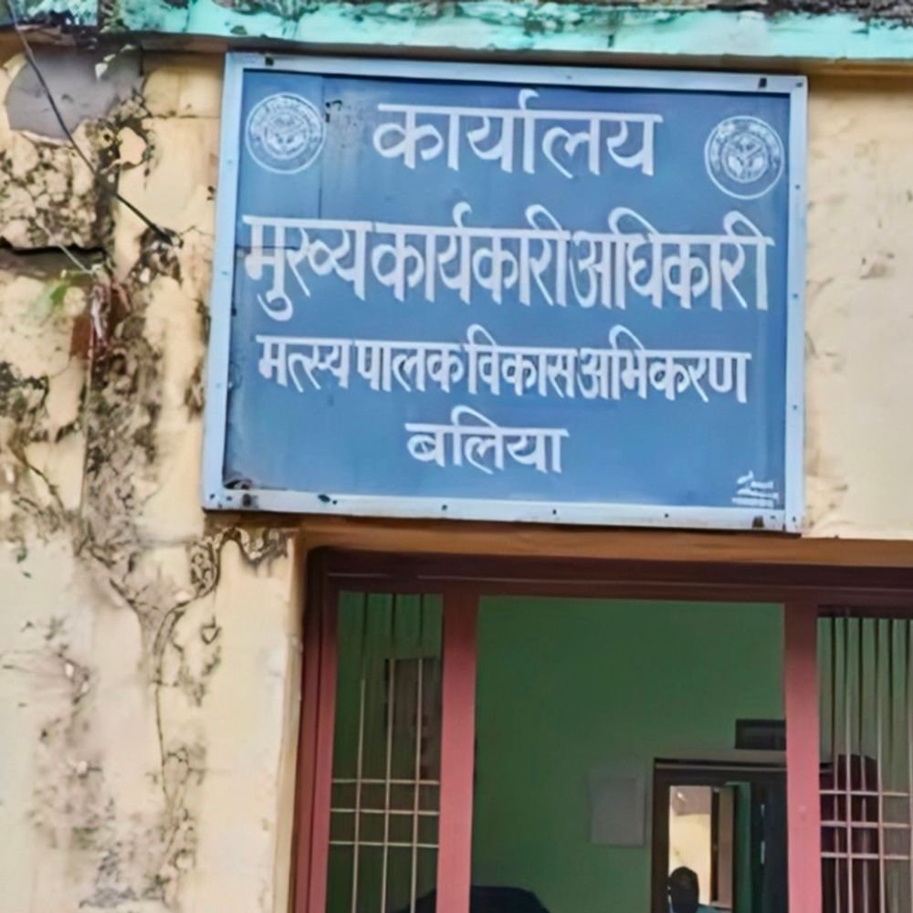 बलिया में महिलाओं को मत्स्य हैचरी लगाने का मौका:मत्स्य विभाग की योजना के तहत 24 अक्टूबर तक करें ऑनलाइन आवेदन