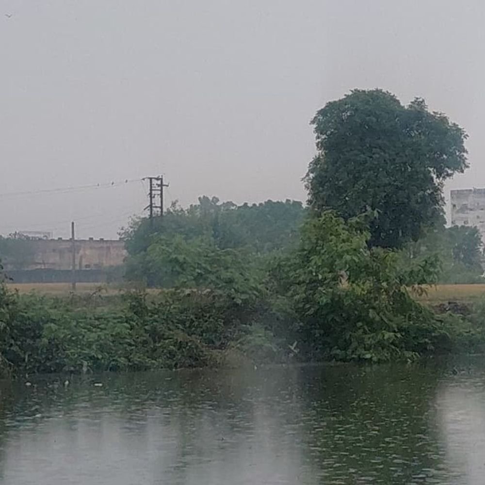 बागपत में 12 घंटे से बारिश जारी, गिरा तापमान:रात का तापमान 18 और दिन का 23 डिग्री दर्ज किया गया, किसानों को अलर्ट जारी