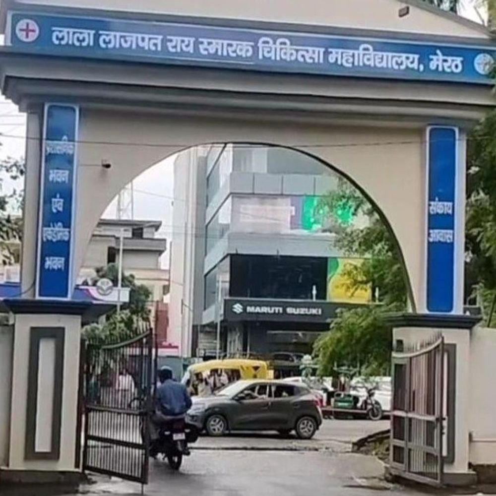 मेडिकल कॉलेज में मधुमक्खियों का हमला, न्यूरोलॉजिस्ट भर्ती:ड्यूटी खत्म कर आवास लौट रहे थे चिकित्सक, स्कूटी सवार महिला डॉक्टर का बिगड़ा संतुलन