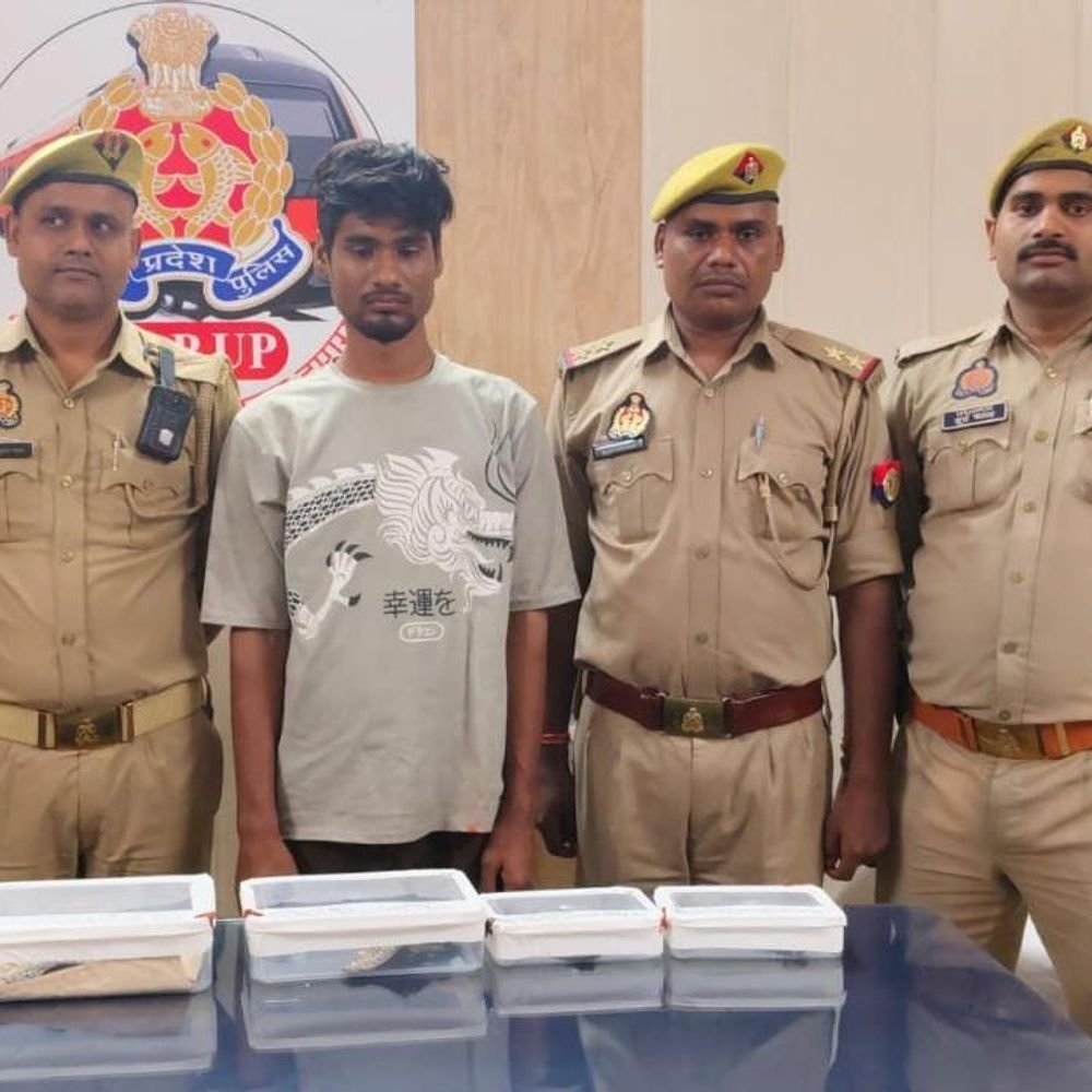 भगवान के मुकुट चोरी करने वाला 24 घंटे में गिरफ्तार:कानपुर में 100 सीसीटीवी की मदद से पकड़ा गया आरोपी, दो लाख के मुकुट बरामद