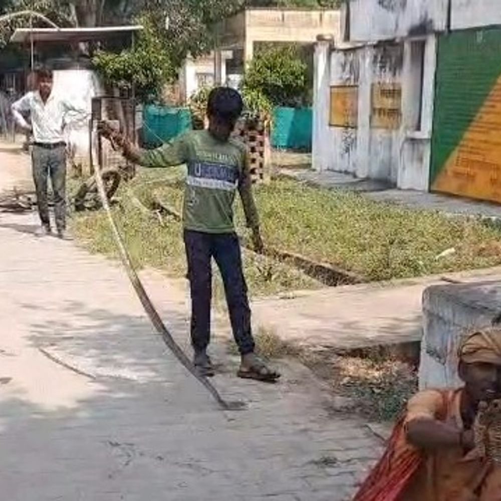 महोबा में सीएचसी में 6 फीट का सांप निकला:सपेरे ने पकड़कर जंगल में छोड़ा, अधीक्षक बोले- नाली चोक होने से परिसर में गंदगी