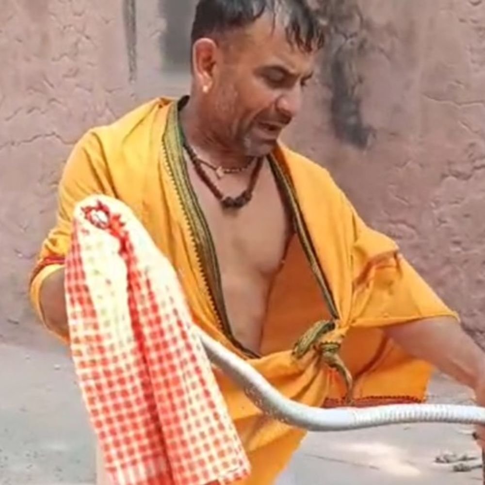 ताजमहल के गार्डन में निकला 7 फीट लंबा सांप:पर्यटकों में दहशत, टीम पहुंचने से पहले ही सुंदर पहलवान ने पकड़ा साँप