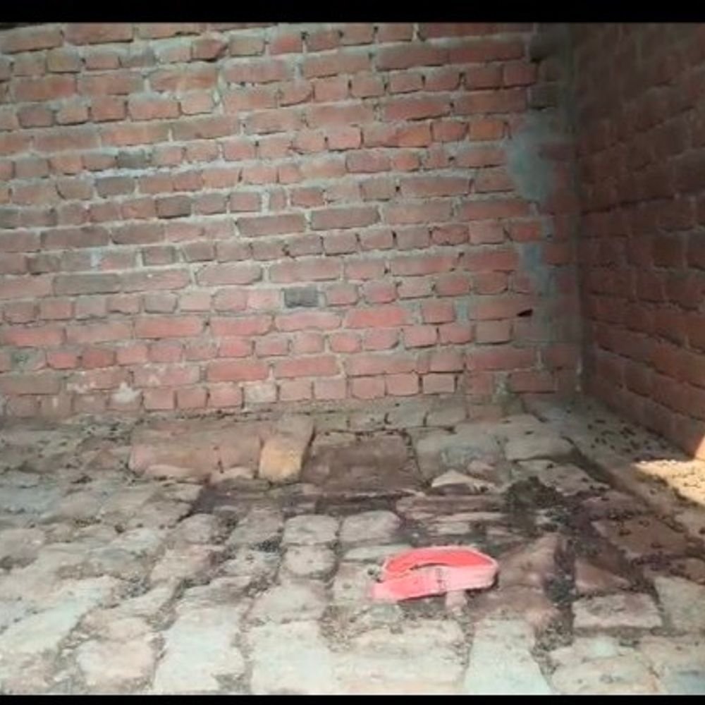 हापुड़ के शिवगढ़ी मोहल्ले से तीन बकरियां चोरी:पीड़ित जीतू ने पुलिस में शिकायत दर्ज कराई, दो लाल और एक काली बकरी गायब