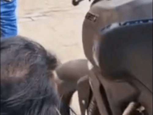 ब्रांच मैनेजर की बाइक से निकला सांप, VIDEO:हरदोई में बाइक स्टार्ट करते ही बाहर निकला, सूझबूझ से बची जान; सर्पमित्र ने किया रेस्क्यू