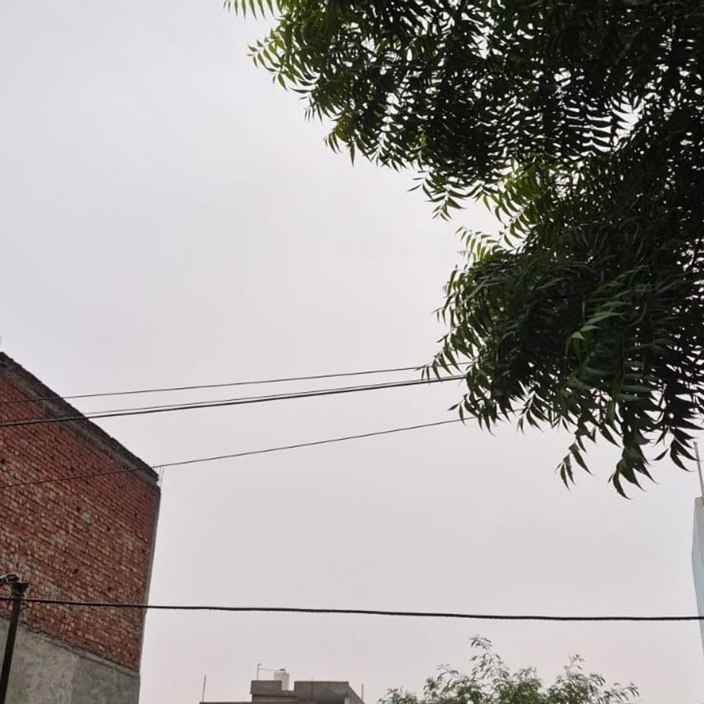 अलीगढ़ में मौसम ने बदली करवट:बिजली की कड़कड़ाहट के साथ सुबह से रिमझिम बारिश; तेज हवाओं ने बढ़ाई ठंडक, कई दिन की गर्मी और उमस से राहत