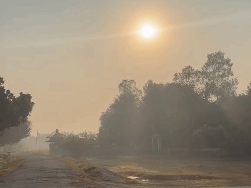 प्रयागराज में सुबह से निकली धूप, तापमान में गिरावट:धुंध छाई, ठंड का बढ़ने लगा असर,AQI 180 दर्ज