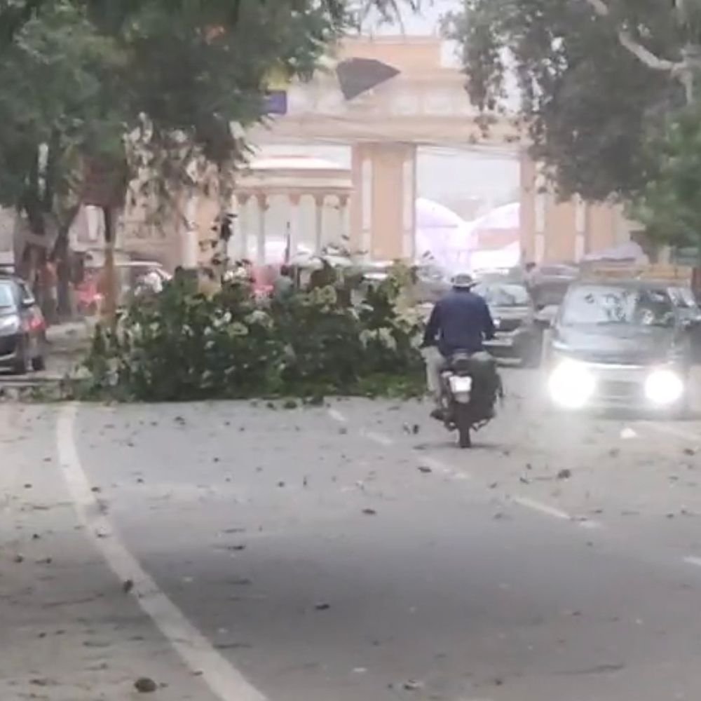 आंधी से सिविल लाइन चौकी पर गिरा पेड़:कई बाइकें टूटीं, दिन में छाया अंधेरा; बारिश से धान-गन्ने की फसल गिरी