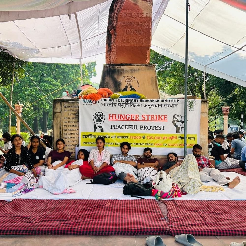 बरेली में स्टाइपेंड की मांग पर भूख हड़ताल:इंटर्नशिप स्टाइपेंड 25 हजार करने की मांग, छात्रों को अब तक नहीं मिला लिखित आश्वासन