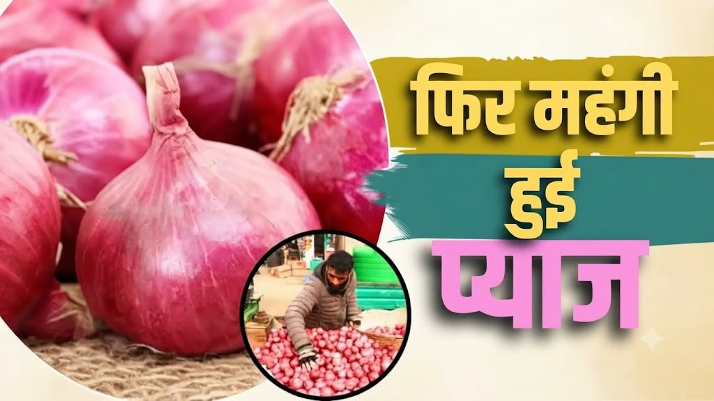 60 के पार पहुंची प्याज, त्योहारों से पहले बढ़ी रसोई की चिंता