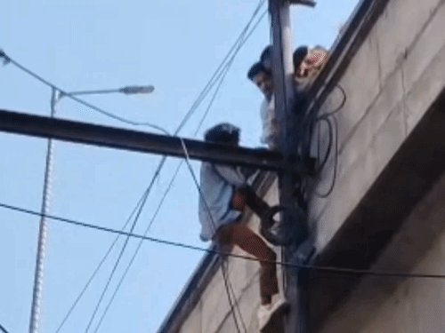 फिरोजाबाद में युवक बिजली के पोल पर चढ़ा, VIDEO:आंखों पर काला चश्मा, गले में फूलों की माला, मोबाइल में सुन रहा था गाना, आधे घंटे बाद उतारा