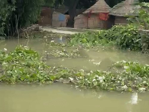 बेल्थरारोड में सरयू का जलस्तर 64.870 मीटर पर पहुंचा:तुर्तीपार श्मशान घाट पानी से घिरा, छोटकी टंगुनिया के लिए 3 से 4 नाव की मांग