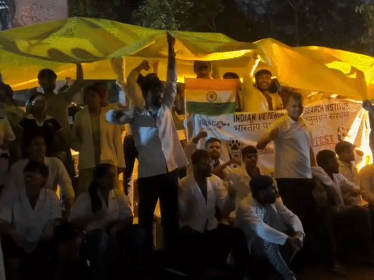 रात की तेज बारिश में भी नहीं टूटा हौसला:चौथे दिन धरने पर Gen-Z डॉक्टर्स, IVRI में 150 से ज्यादा स्टूडेंट्स की मांग