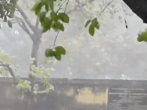 अयोध्या में तूफान-बारिश और ओलावृष्टि से तबाही:70 किमी की रफ्तार से चली आंधी, पेड़-खंभे उखड़े, प्रयागराज हाईवे पर यातायात प्रभावित; बीकापुर में दीवार गिरी, 5 घायल