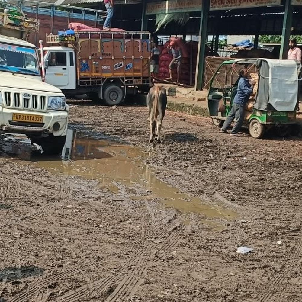 मंडी में गंदगी देख विधायक ने सचिव को फटकारा:व्यापारियों की शिकायत पर पहुंची प्रशासनिक टीम, निरीक्षण के बाद शुरू हुई सफाई