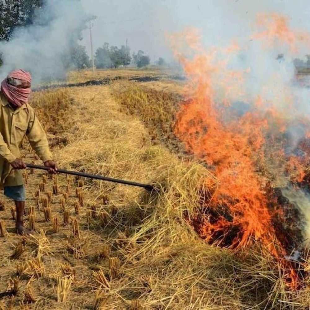 मथुरा में पराली जलाने पर होगी FIR:डीएम ने दिए सख्त निर्देश, जुर्माना लगाकर वसूली भी कराई जाएगी