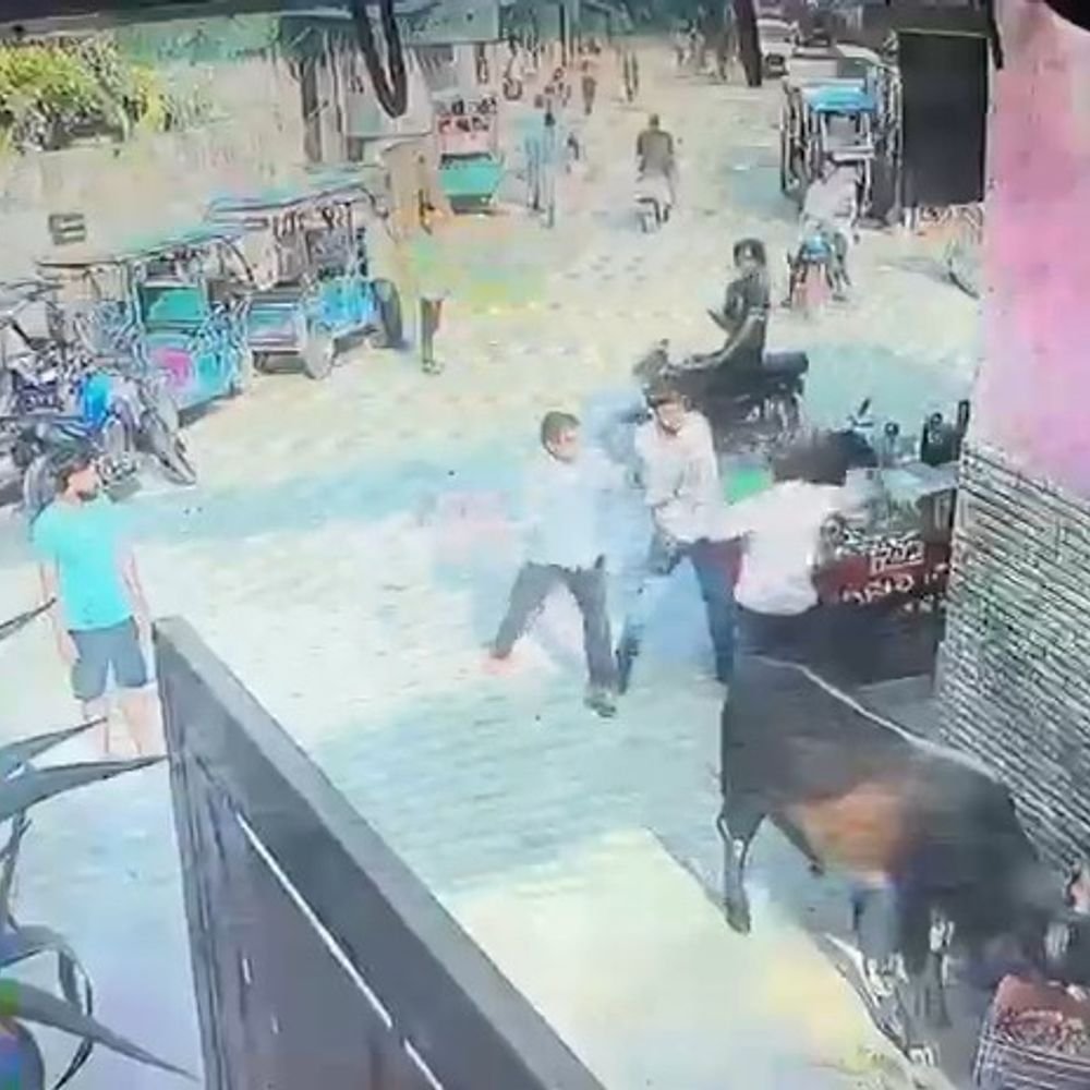 नोएडा में जूस विक्रेता से मारपीट, VIDEO:गाय को पन्नी समेत रोटी खिलाने से रोकने पर हुआ विवाद