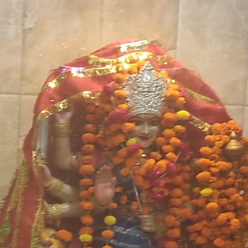 मनसा देवी मंदिर में नवरात्रि के पहले दिन उमड़ी भीड़:'जय माता दी' के जयकारों से गूंजा मंदिर, मां शैलपुत्री की हुई पूजा; सुरक्षा के कड़े इंतजाम