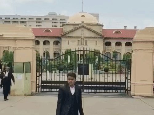 फर्जी दस्तावेजों से नौकरी पाए शिक्षकों पर एक्शन लें:हाईकोर्ट ने कहा- फर्जी नियुक्तियों पर कार्रवाई, गिरता स्तर इसी वजह से