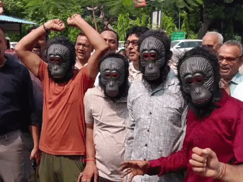 बंदरों के मुखौटे लगाकर कमिश्नरी पर प्रदर्शन:मेरठ में बंदरों के झुंड से लोग परेशान, जल्द पकड़ने की मांग
